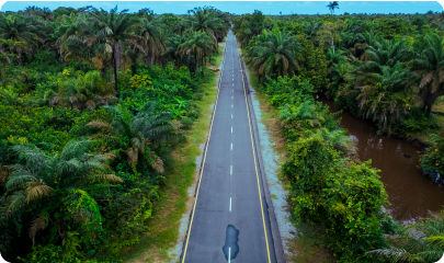 Ogulagha-Okuntu-Odimodi Road