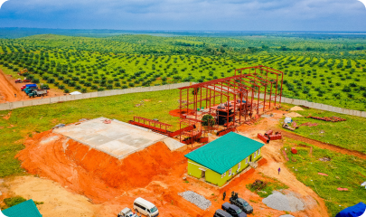 Oil Palm Plantation and Refinery in Partnership with Norsworthy Farms